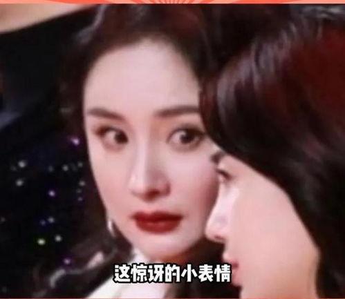 娱乐圈吃瓜过程